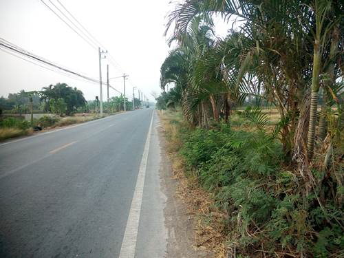 ขายที่ดินเปล่าติดถนนลำลูกกาคลอง 9 จังหวัดปทุมธานี 